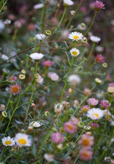 Cost-Effectiveness: Are They Worth the Splurge?