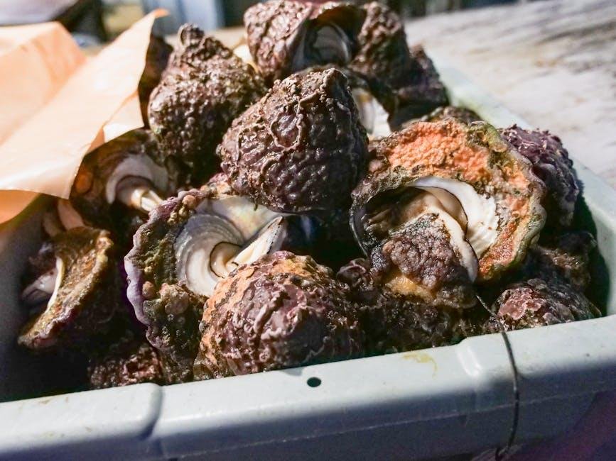 Elevating Your Week: Quick High-Protein Meal Prep Strategies