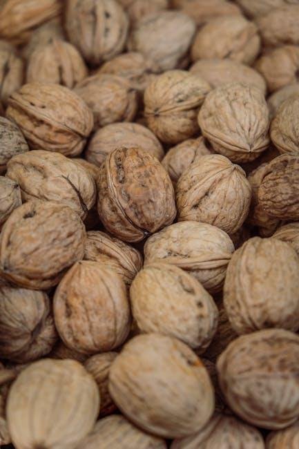 Exploring the Nutritional Benefits of Plant-Based Proteins